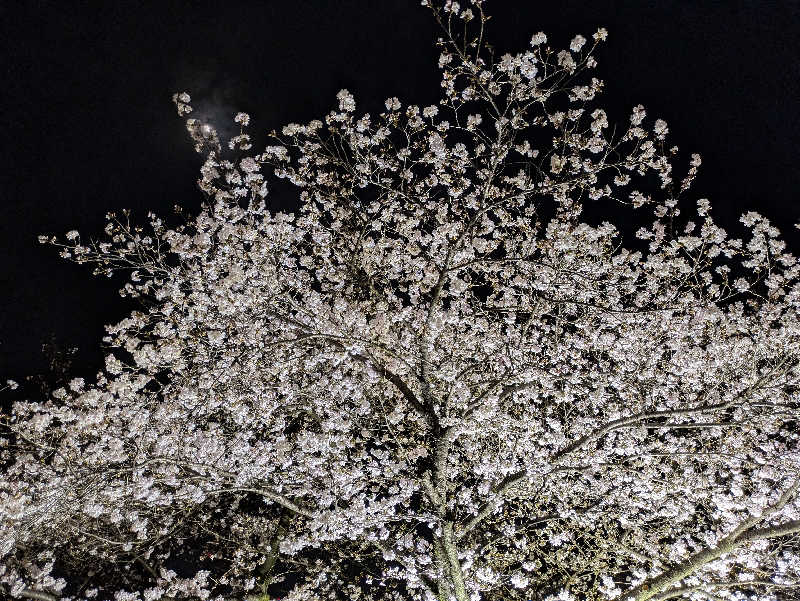 モロさんの横浜青葉温泉 喜楽里別邸のサ活写真
