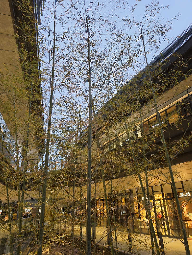 モロさんのサウナメッツァ 大井町トラックスのサ活写真