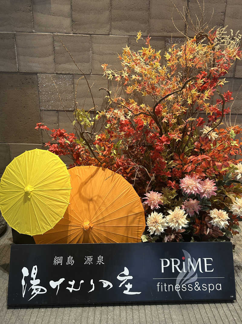 ちむさんの綱島源泉 湯けむりの庄のサ活写真