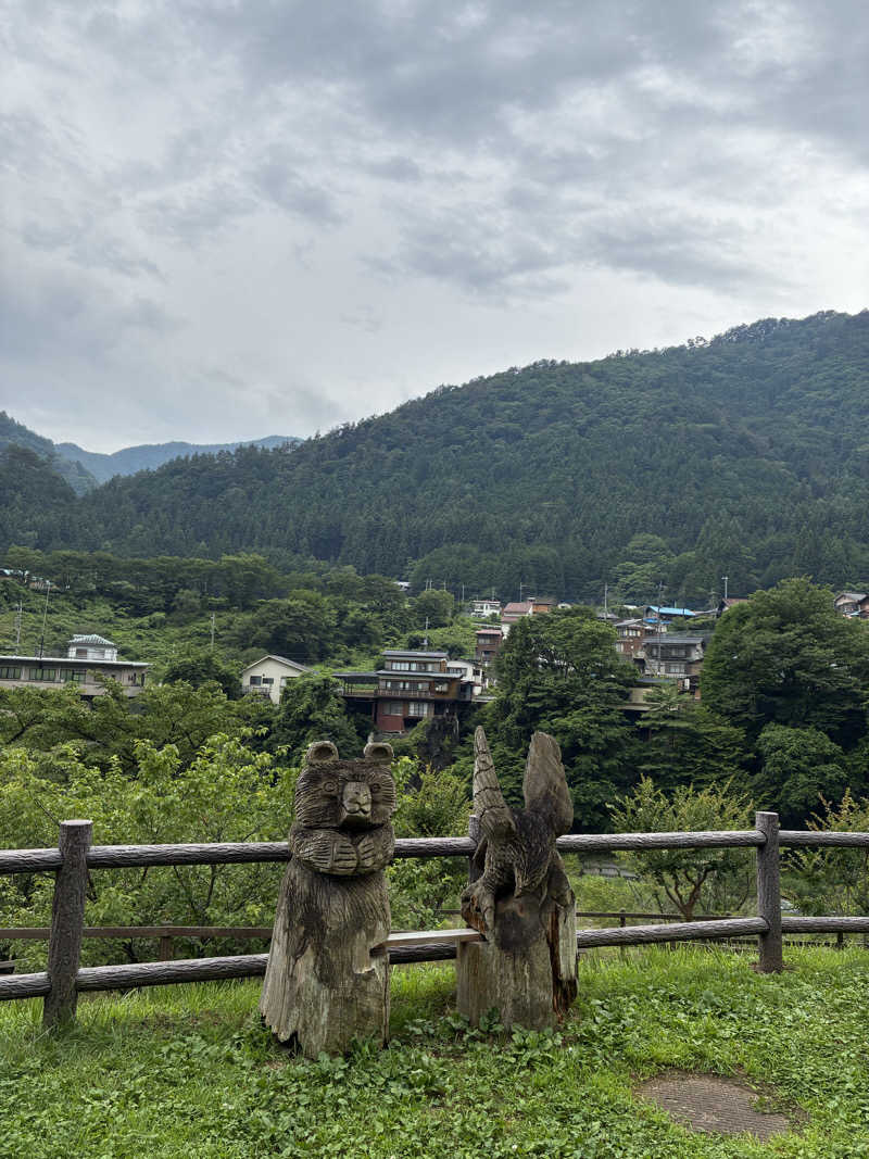 tsururinpaさんののめこい湯のサ活写真