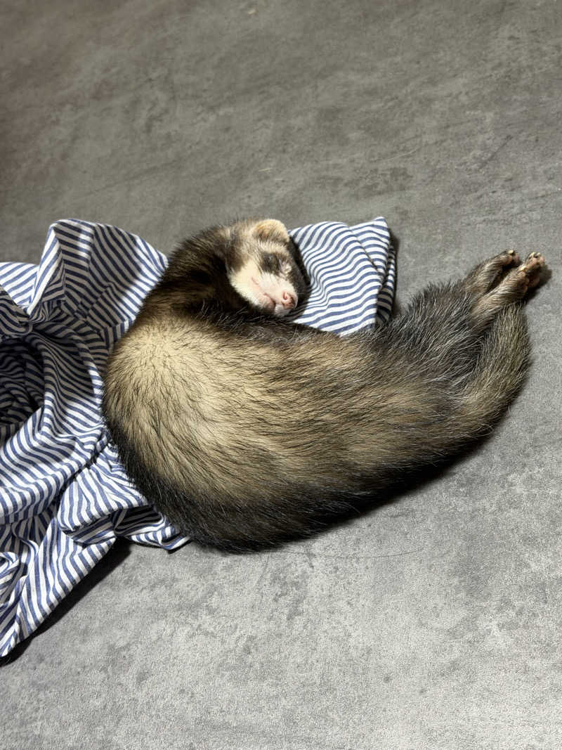 ayadonaldさんの扇温泉のサ活写真