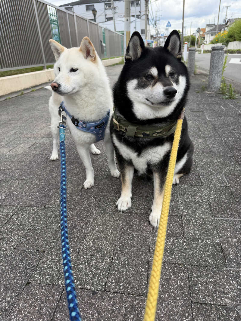 ayadonaldさんの湊河湯のサ活写真