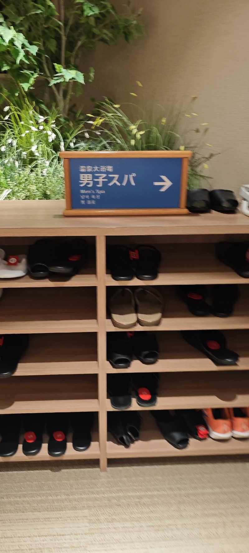 けんさんのホテルマイステイズ プレミア札幌パーク パークサイドスパのサ活写真