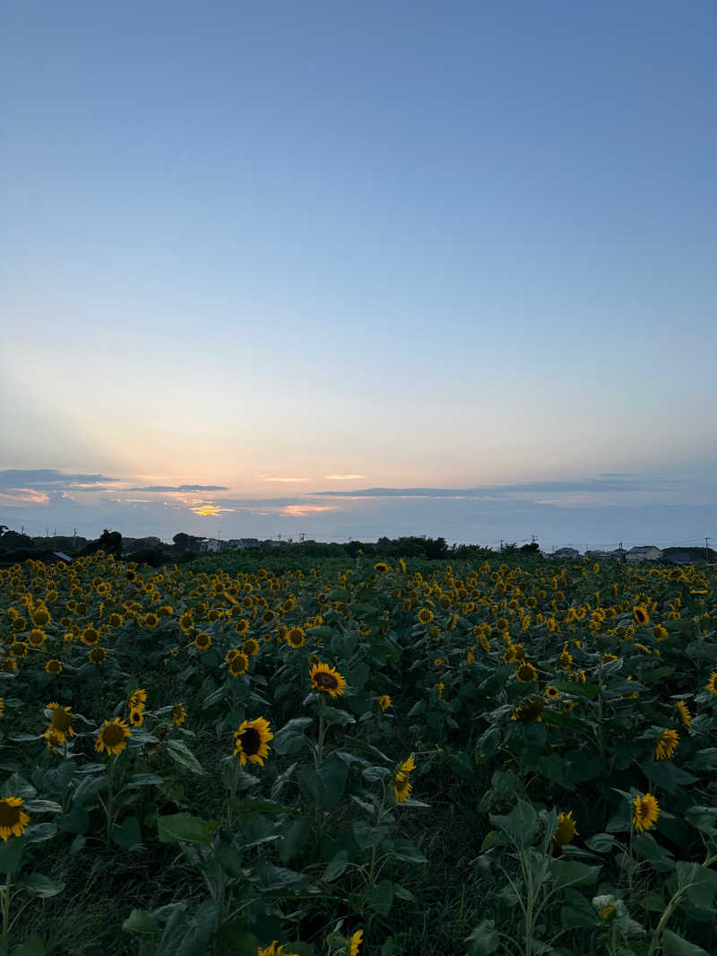 サウナ98号さんの海と夕日の湯のサ活写真