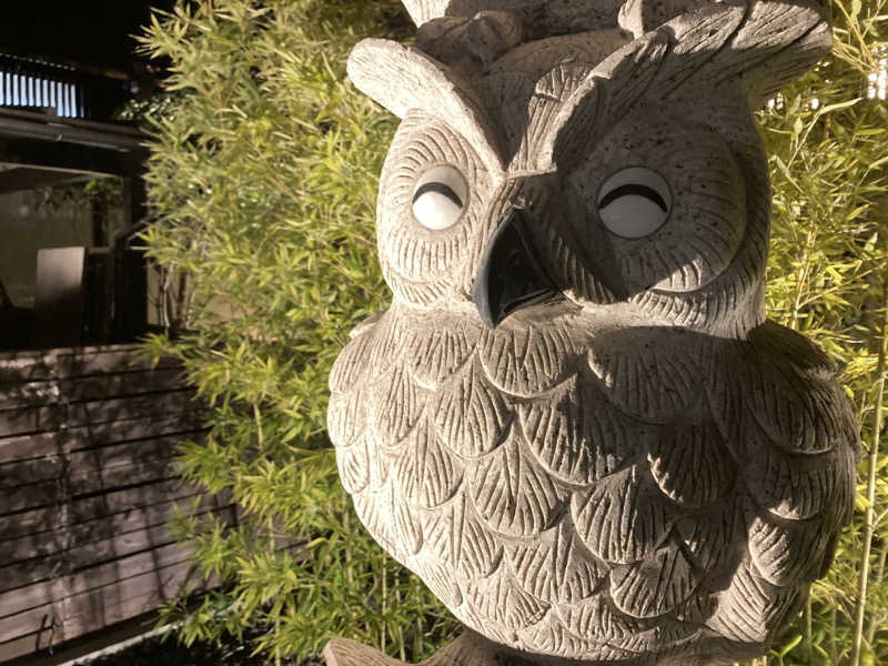 トトノイ太郎さんの尾道平原温泉 ぽっぽの湯のサ活写真