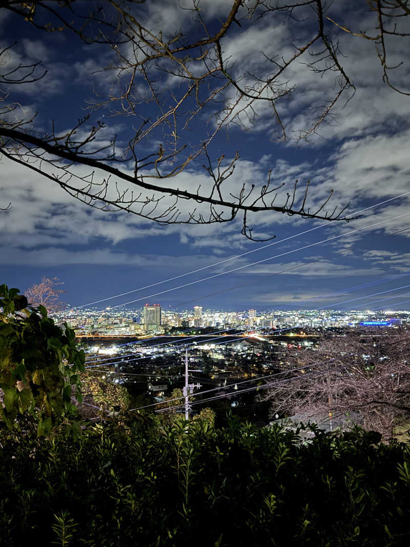 モッッツァレリダリミンさんの観音山サウナ蒸寺のサ活写真