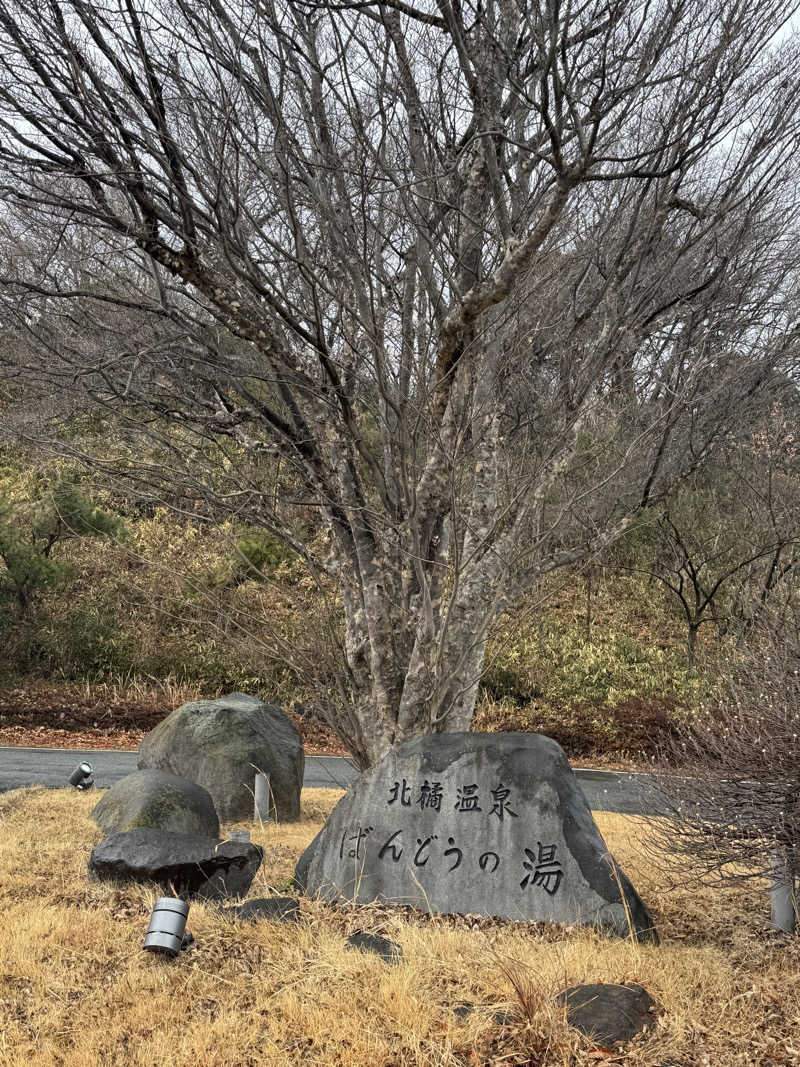 モッッツァレリダリミンさんのKomorebiテラス ばんどうのゆのサ活写真