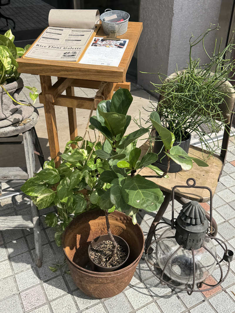 モッッツァレリダリミンさんのナウサのサ活写真