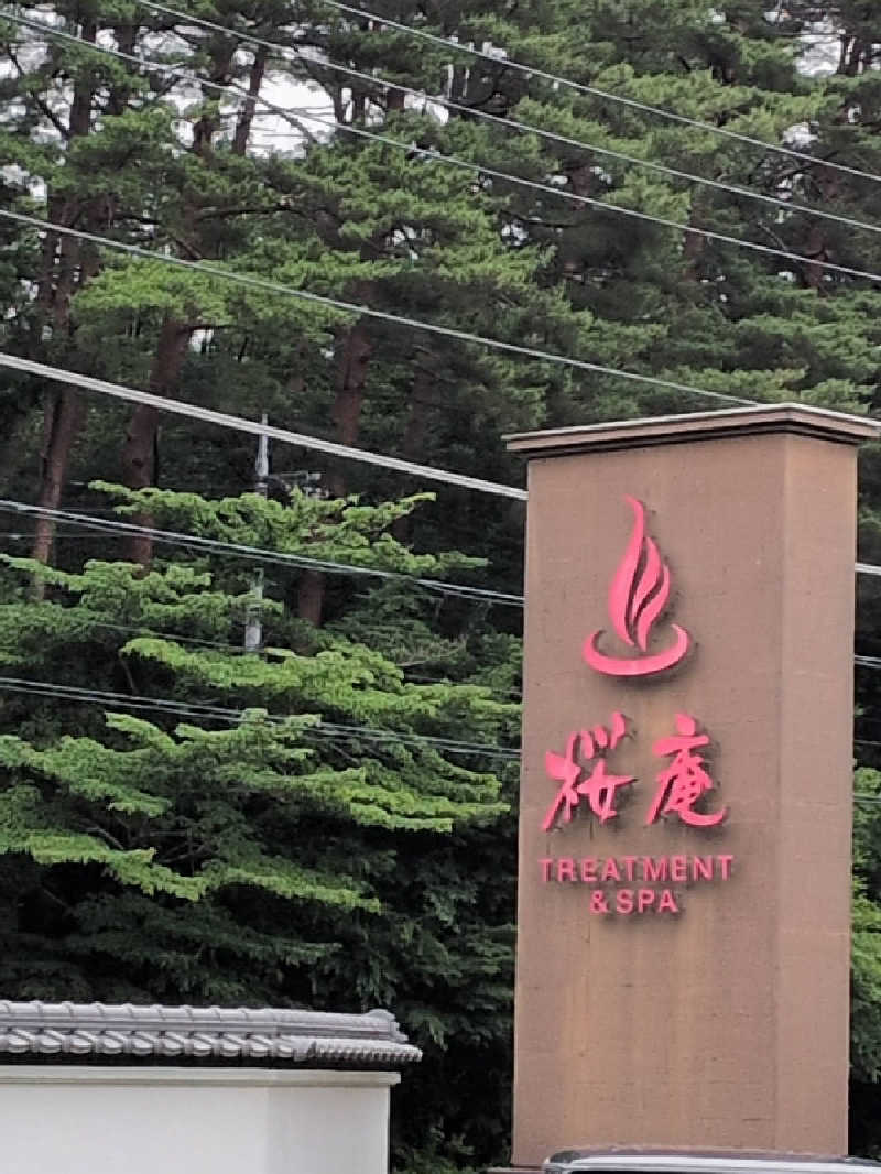 湯ストさんの河口湖 ホテル 桜庵のサ活写真