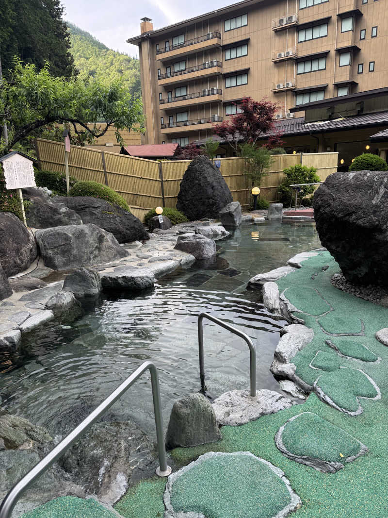 たらおさんの湯元ホテル阿智川のサ活写真