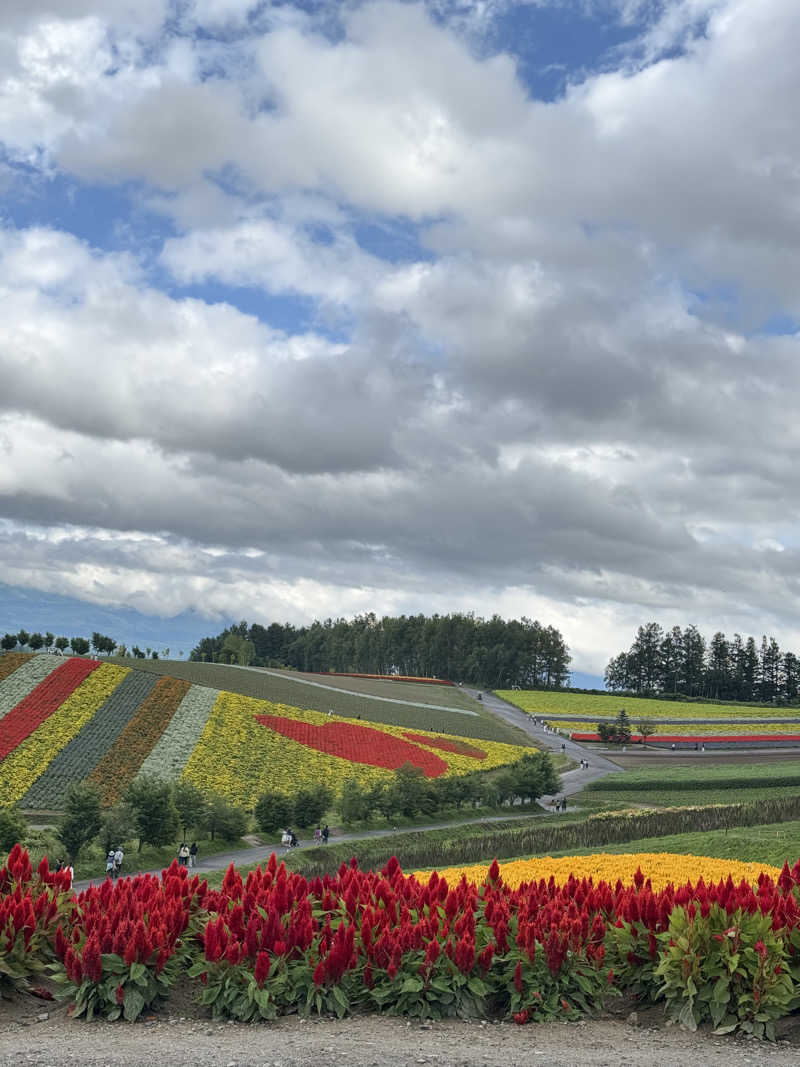 たらおさんの新富良野プリンスホテル 富良野温泉 紫彩の湯のサ活写真