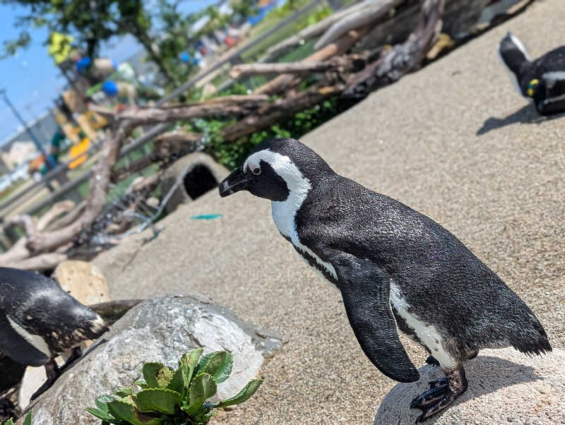 ゆるサ活さんの天然温泉 杜都の湯 御宿 野乃仙台のサ活写真