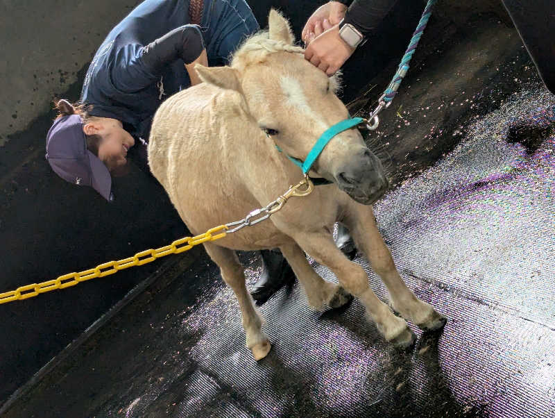 ゆるサ活さんのONSEN RYOKAN 由縁 札幌のサ活写真