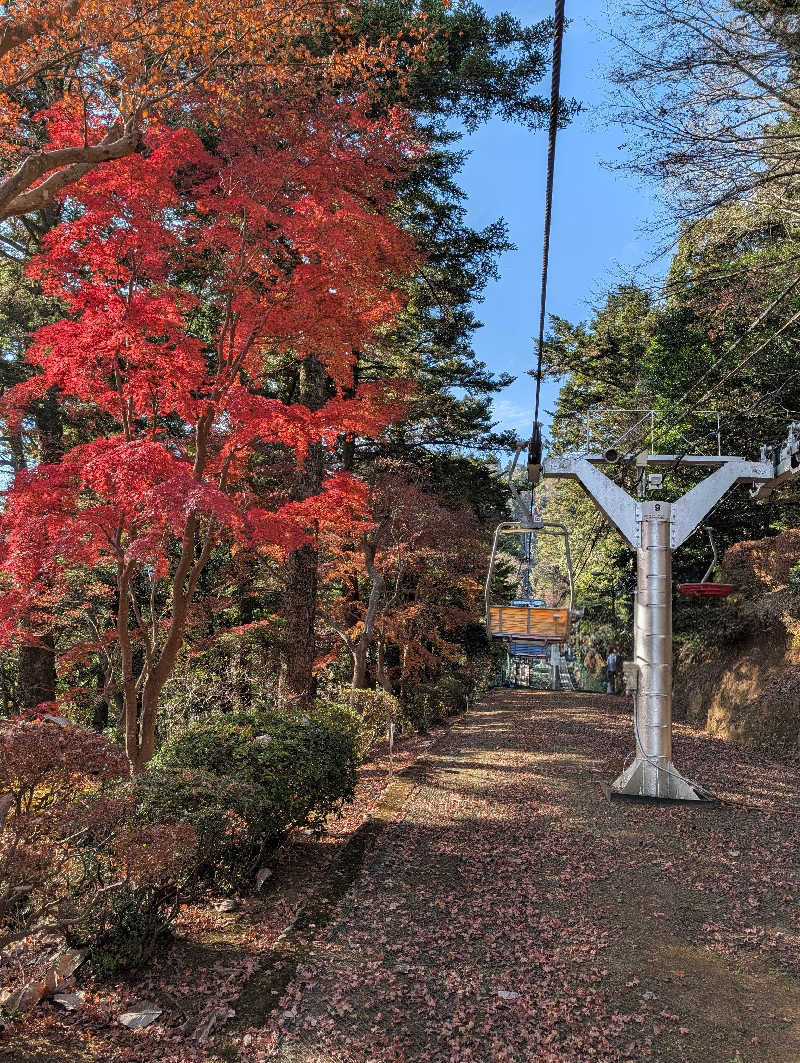 ドナウ川の漣さんの京王高尾山温泉 極楽湯のサ活写真