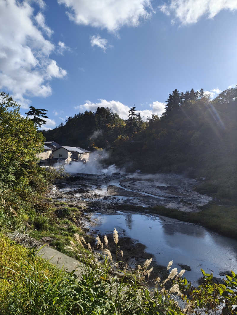 あまみ勇気さんの後生掛温泉のサ活写真