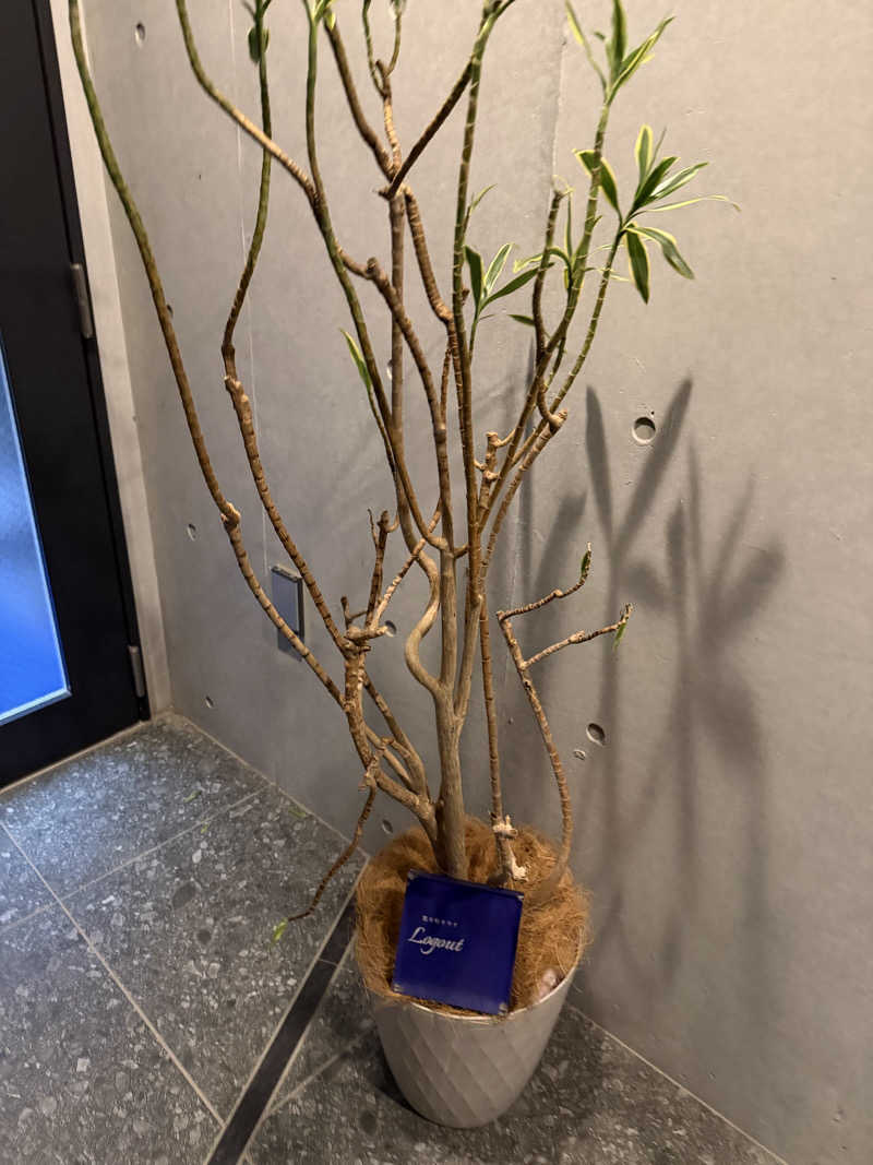 アリちゃんさんの荒木町サウナ Logout (ログアウト)のサ活写真
