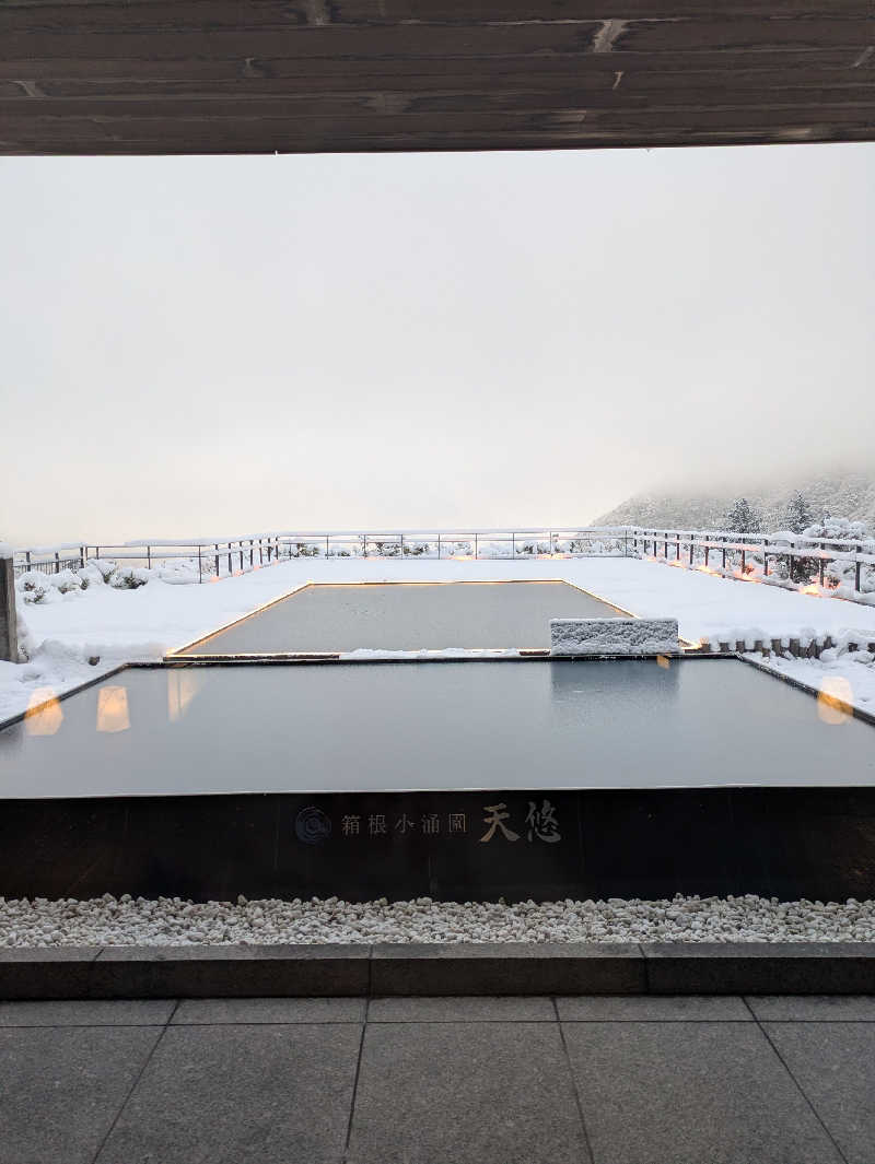 T.M.なんかさんの箱根小涌園 天悠のサ活写真