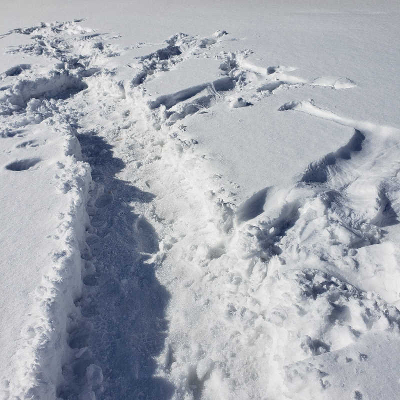 ととのうこさんのかたくり温泉ぼんぼのサ活写真