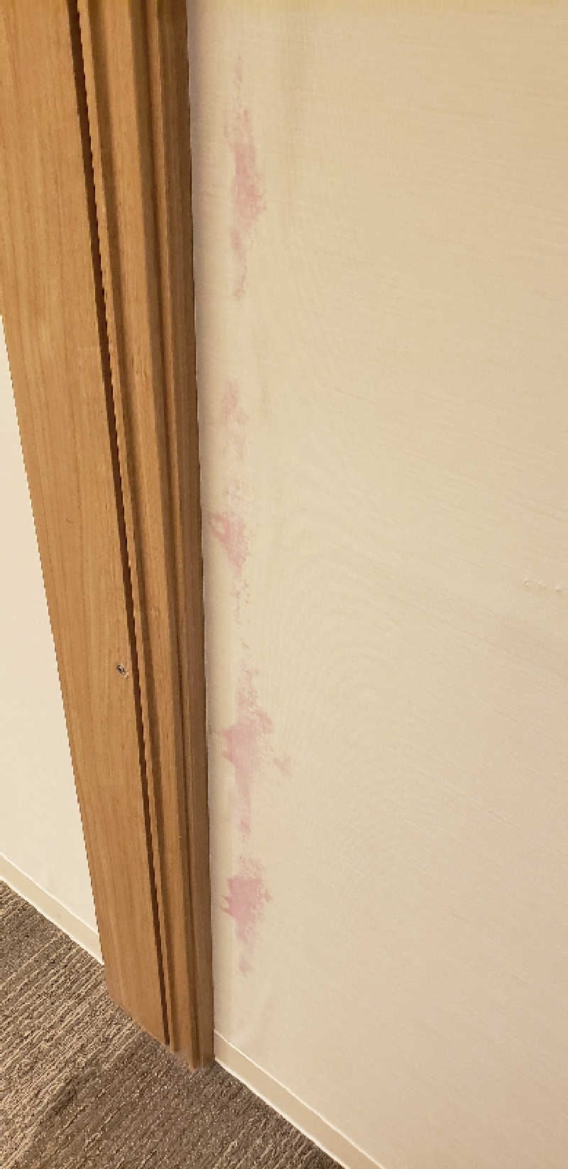 ととのうこさんのSmart Stay SHIZUKU 品川大井町のサ活写真