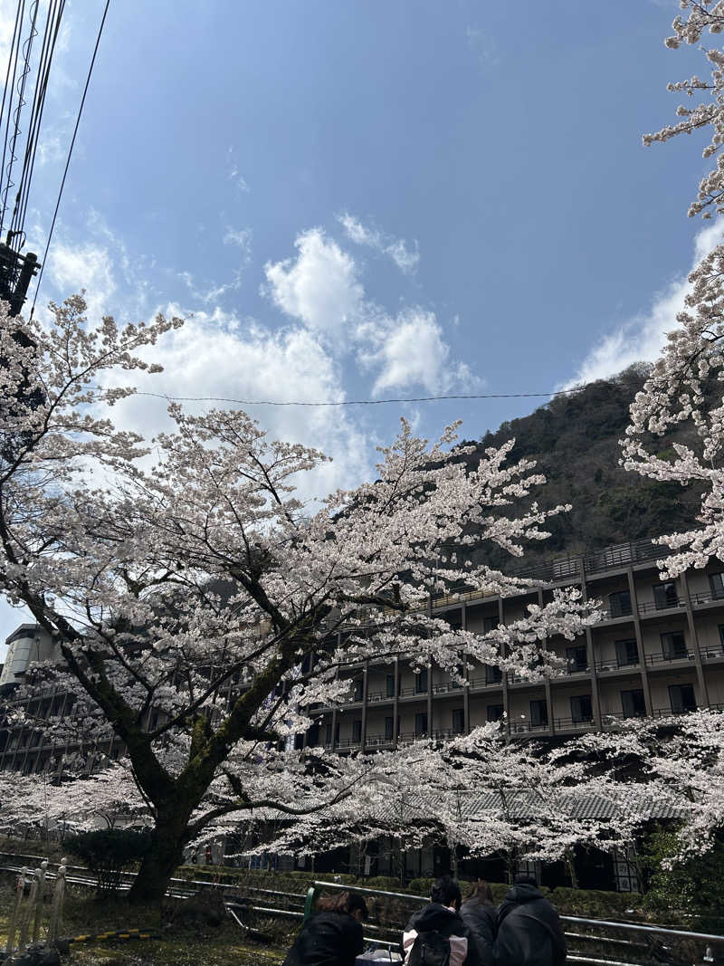 ちょこっとサウナーさんの箱根湯本温泉 天成園のサ活写真