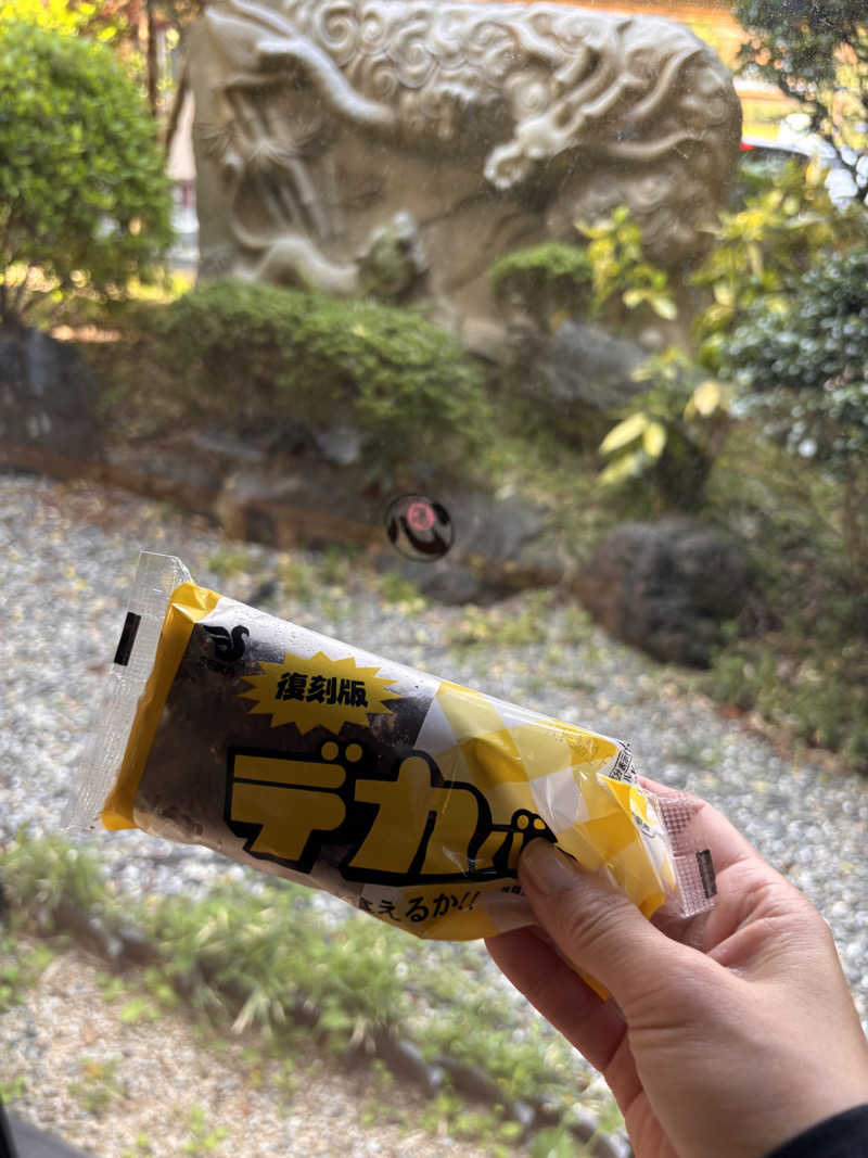 あきさんの指宿こころの湯のサ活写真