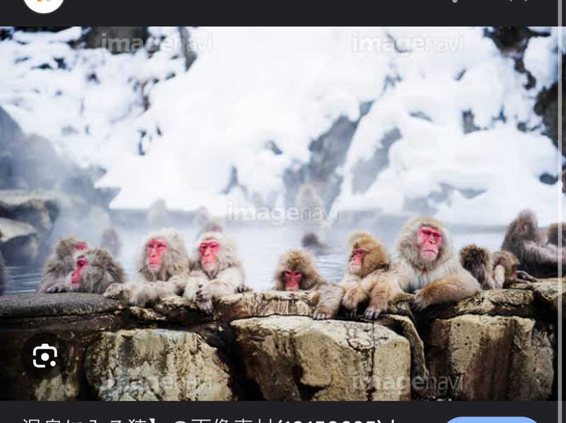 あyapiさんの北のたまゆら 桑園のサ活写真