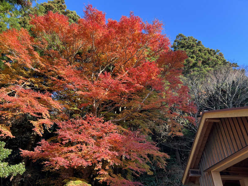 pokkeさんのやさと温泉 ゆりの郷のサ活写真