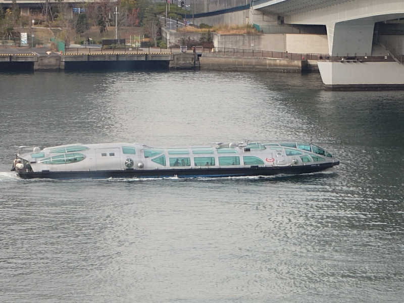 にゃにゃんさんの東京豊洲 万葉倶楽部のサ活写真