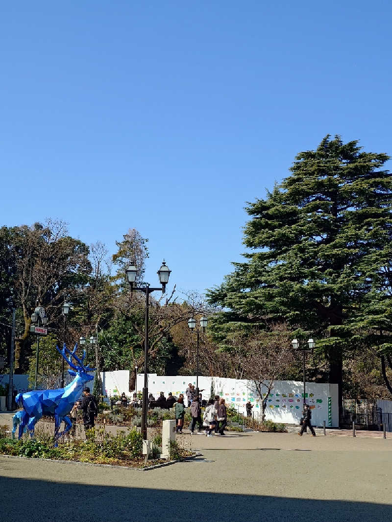 にゃにゃんさんの豊島園 庭の湯のサ活写真