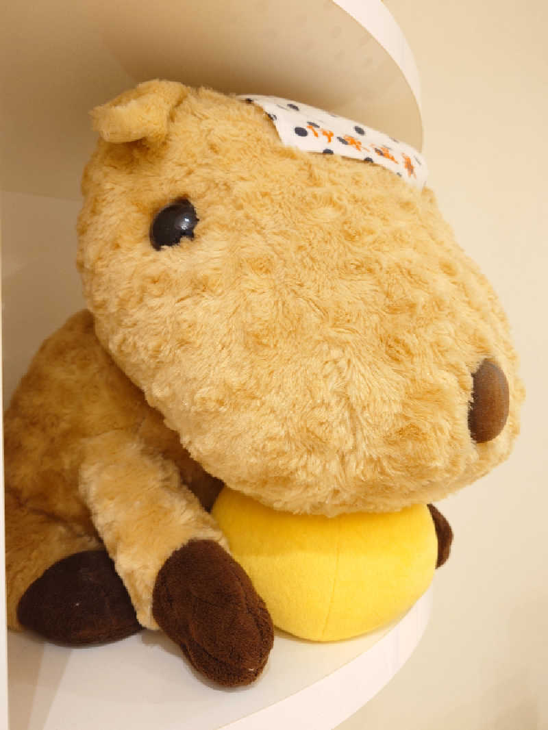 にゃにゃんさんの新宿天然温泉 テルマー湯のサ活写真