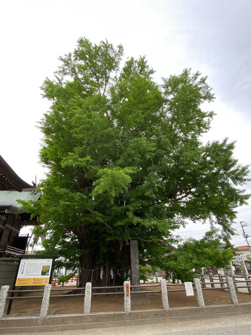 ぴ〜げるさんのサウナ&カプセルホテルレインボー本八幡店のサ活写真