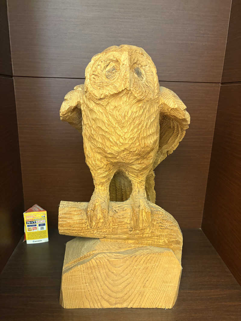 Rinkosaunerさんのふくろうの湯のサ活写真