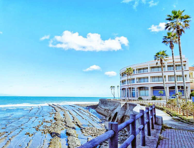 ささささんの青島サンクマールのサ活写真