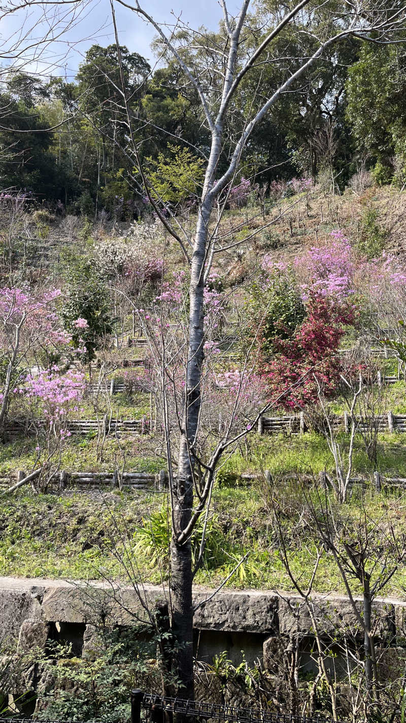 ささささんの薩摩黒温泉 山華のサ活写真