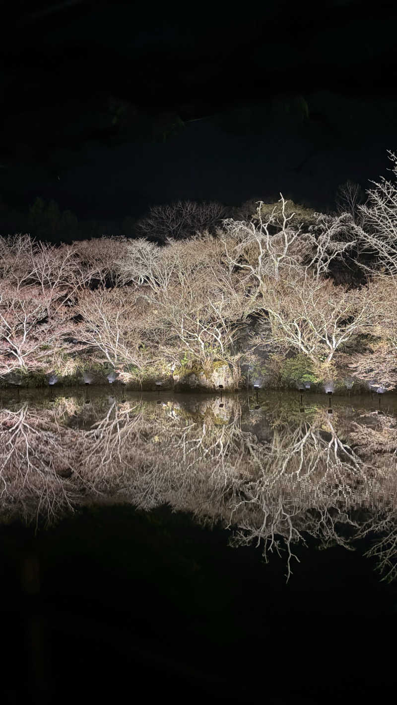 ささささんの御船山楽園ホテル  らかんの湯のサ活写真
