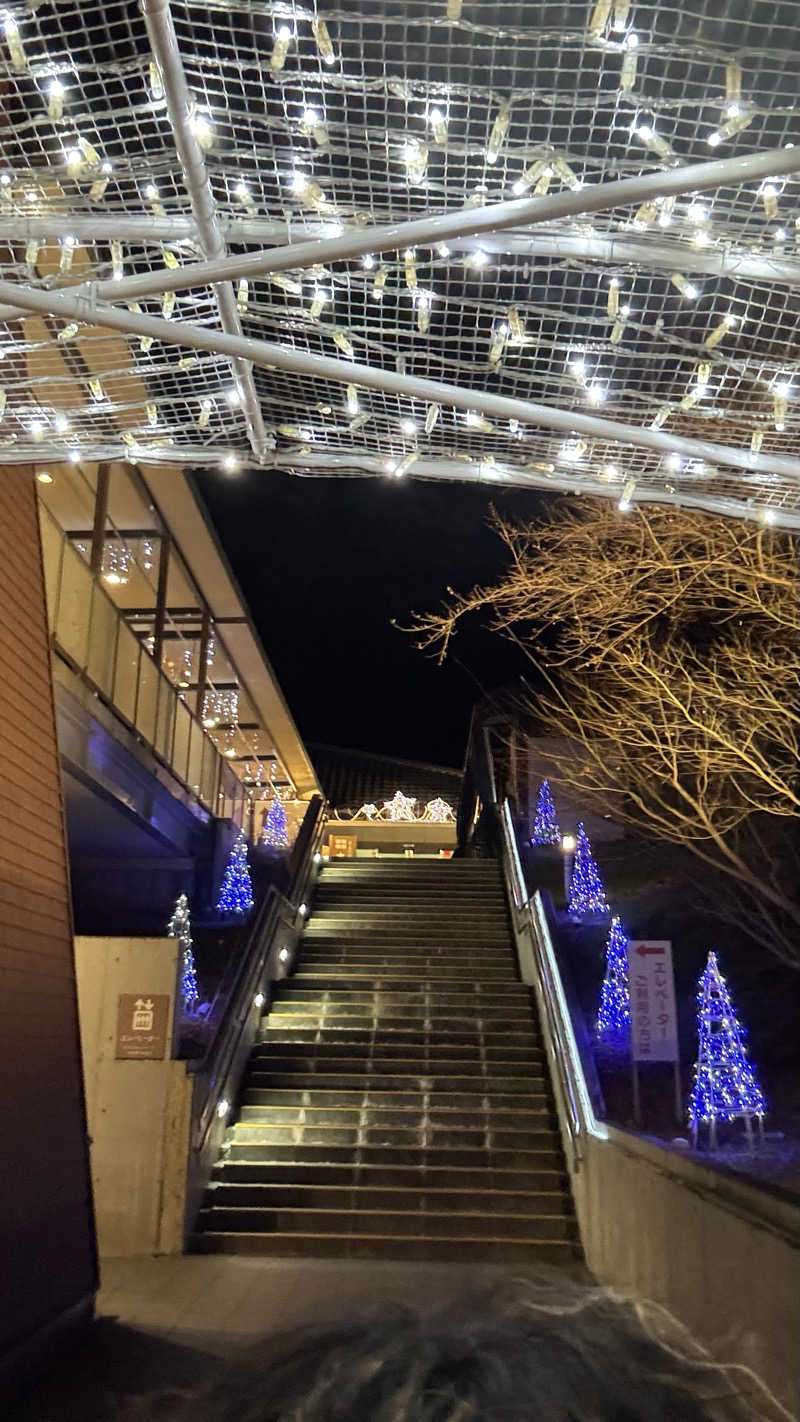 Mohamed Saunahさんの天然温泉 本宮の湯のサ活写真