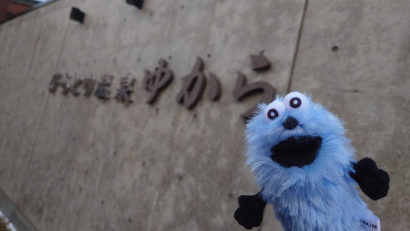 春さんのびらとり温泉 ゆからのサ活写真