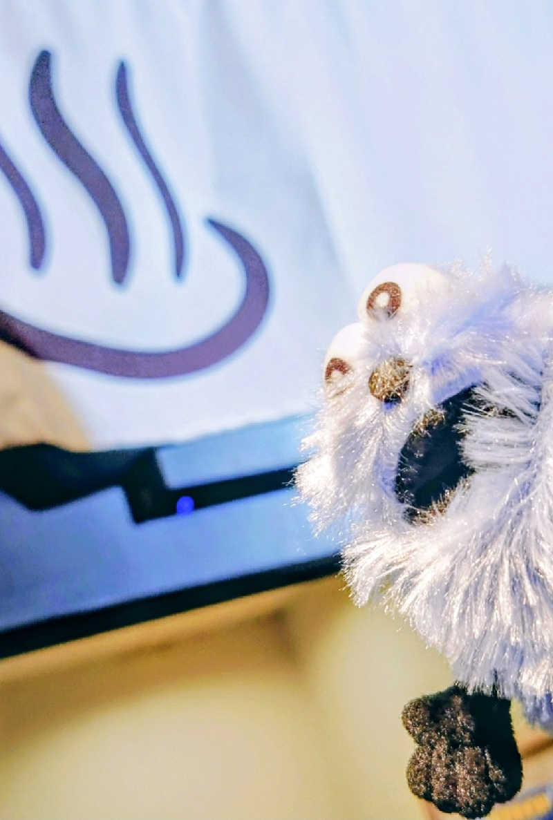 春さんの湯屋サーモンのサ活写真