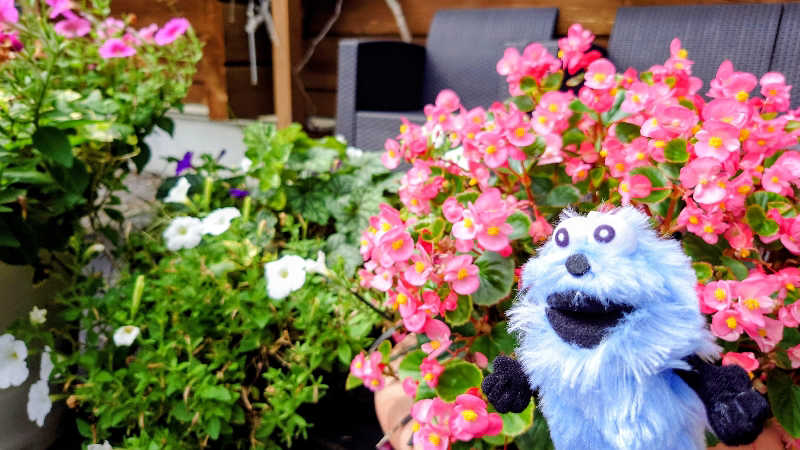 春さんのユンニの湯のサ活写真