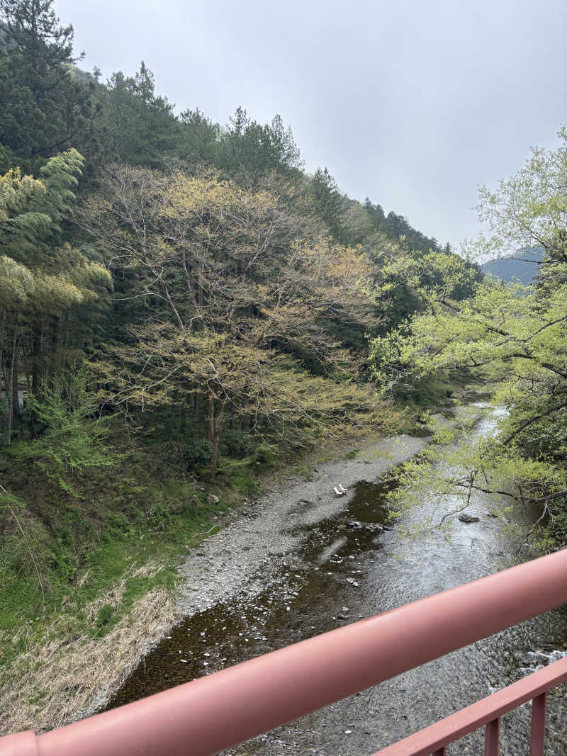 どーたぬさんの秋川渓谷 瀬音の湯のサ活写真