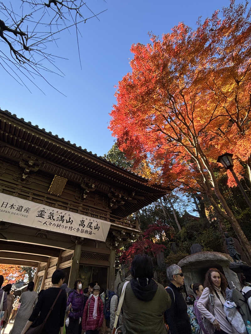 こばさんの京王高尾山温泉 極楽湯のサ活写真