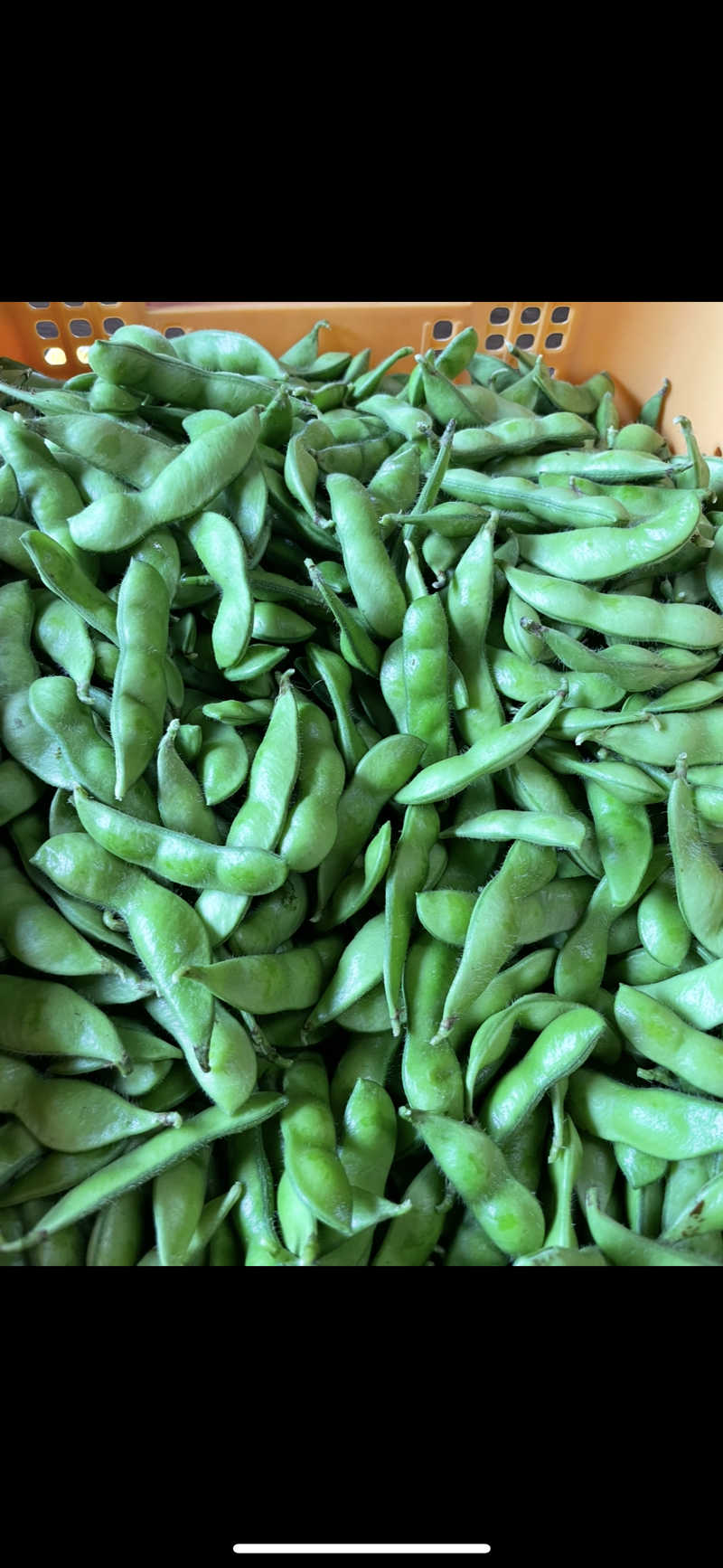 HORI-DAY/ACOKさんのSAUNA煌ｰKOUｰのサ活写真