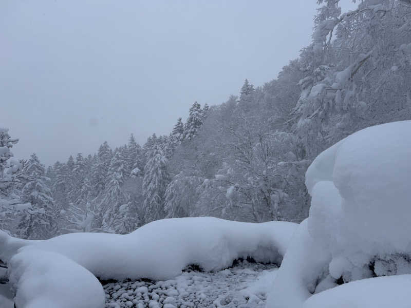 たっぺさんの吹上温泉保養センター 白銀荘のサ活写真