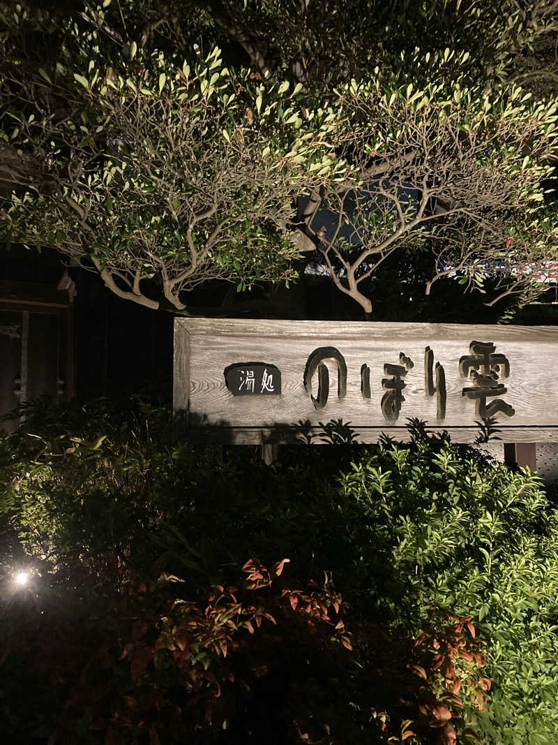 ♨️ゆ♨️さんの佐野天然温泉 湯処 のぼり雲のサ活写真