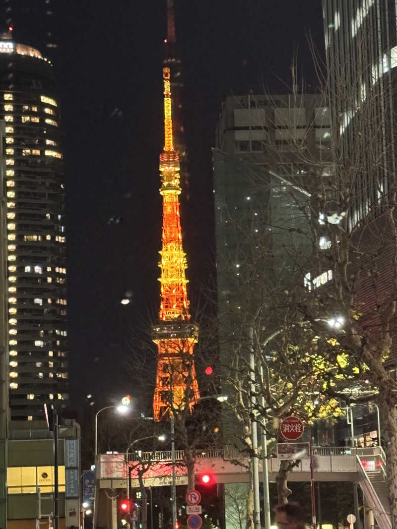 ヘイリーさんのライオンサウナ新橋 (レンブラントキャビン&スパ新橋内)のサ活写真