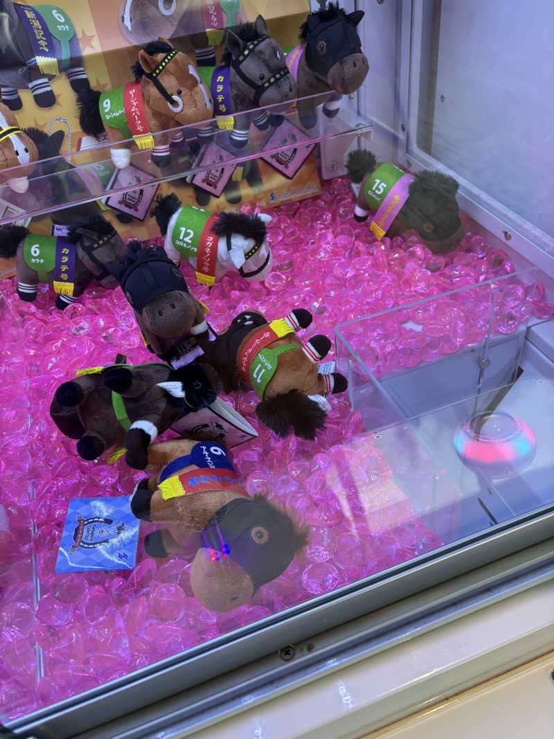 ヘイリーさんの温泉バルコニー キング&クイーンのサ活写真