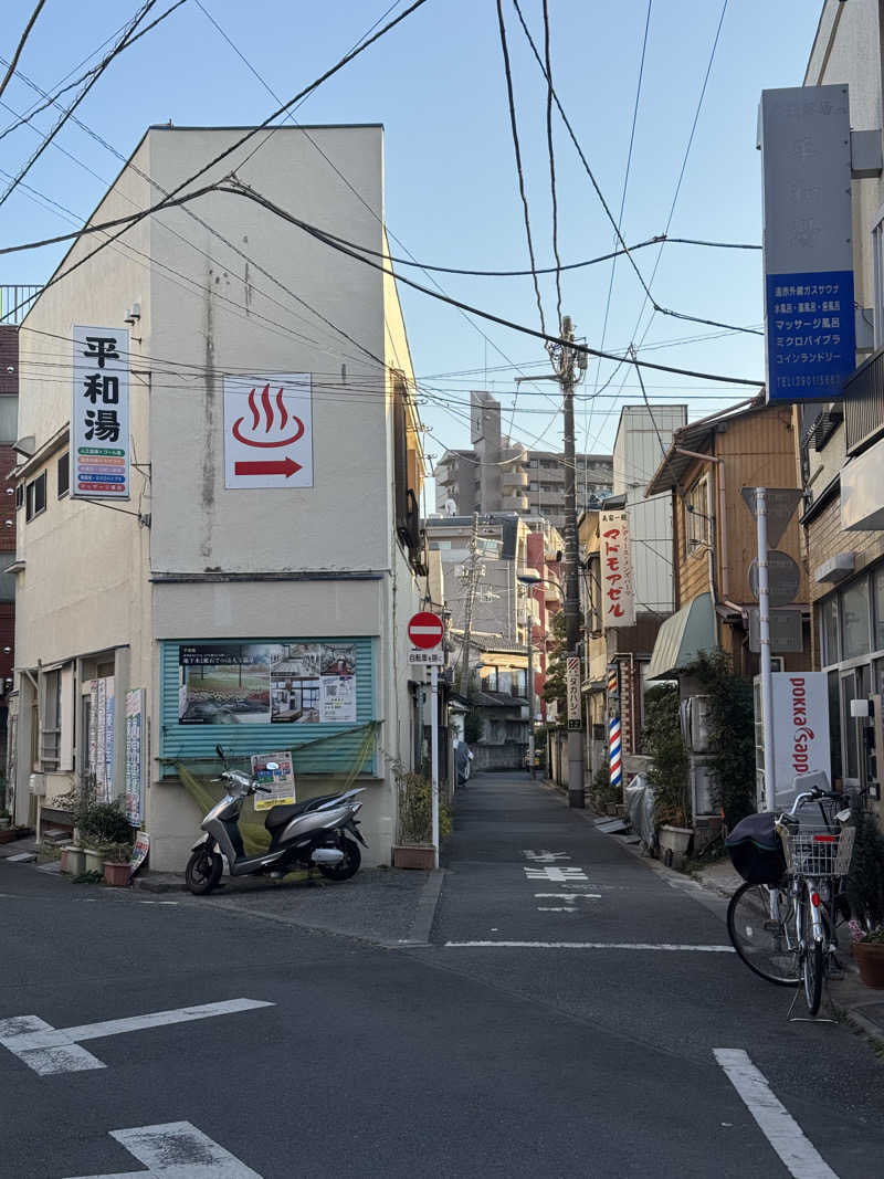 すーたさんの平和湯 人工温泉のサ活写真