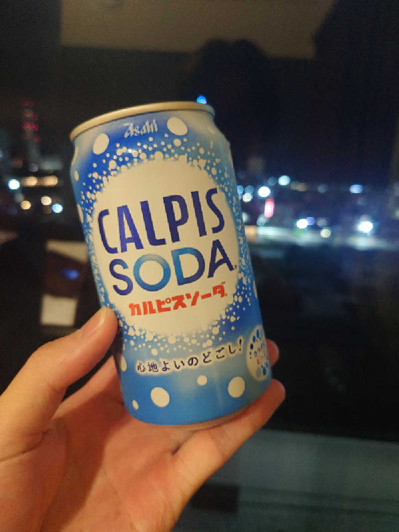 かさんの関空温泉ホテルガーデンパレスのサ活写真