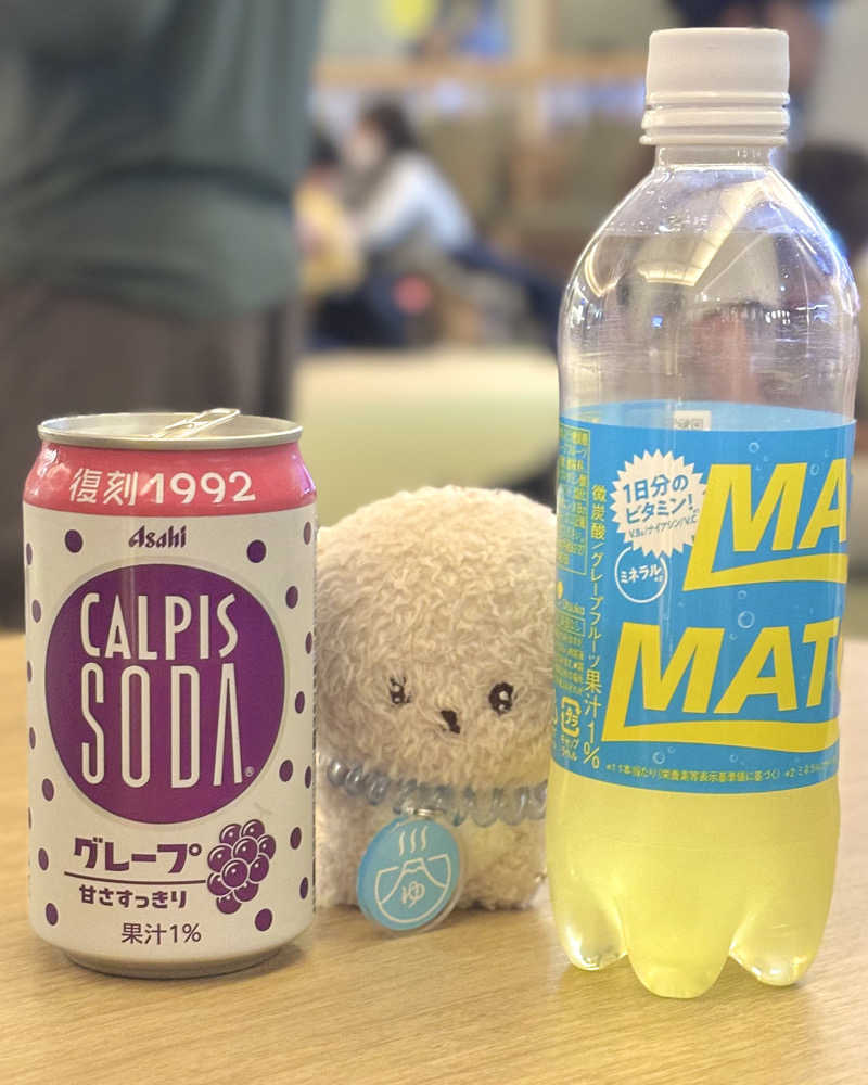 ゅゅゅ 🫧さんのスパメッツァ おおたか 竜泉寺の湯のサ活写真