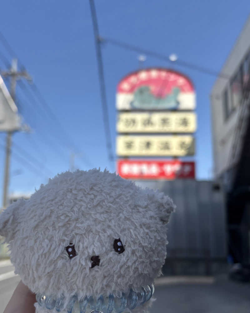 ゅゅゅ 🫧さんの湯乃泉 草加健康センターのサ活写真